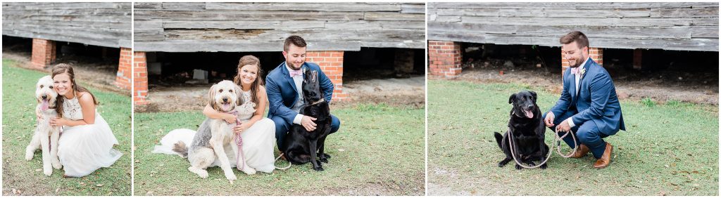 dogs come to wedding for photos in Conway SC