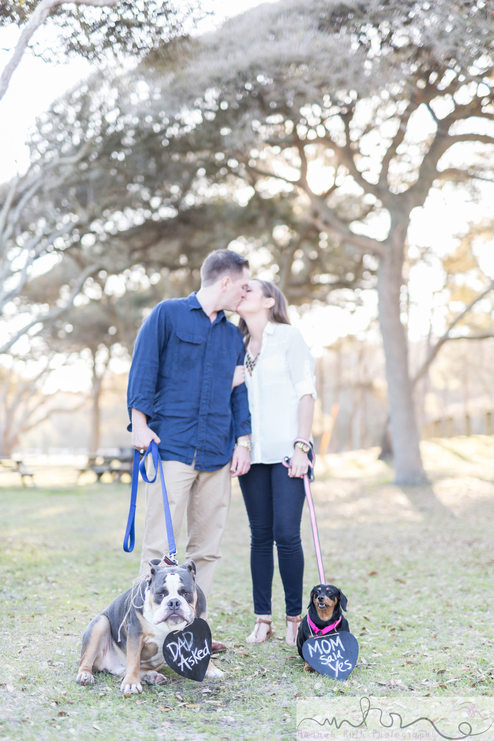 dogs and engagement photos 