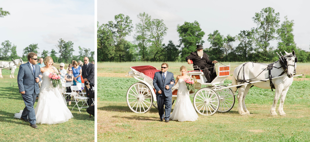 Horse and Carriage Wedding 