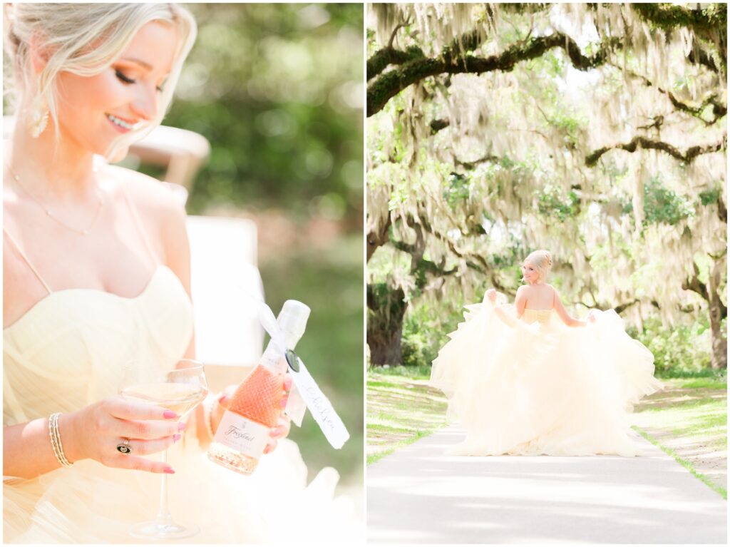 Brookgreen Gardens, I captured this lovely venue's romance, beauty, and enchantment. 