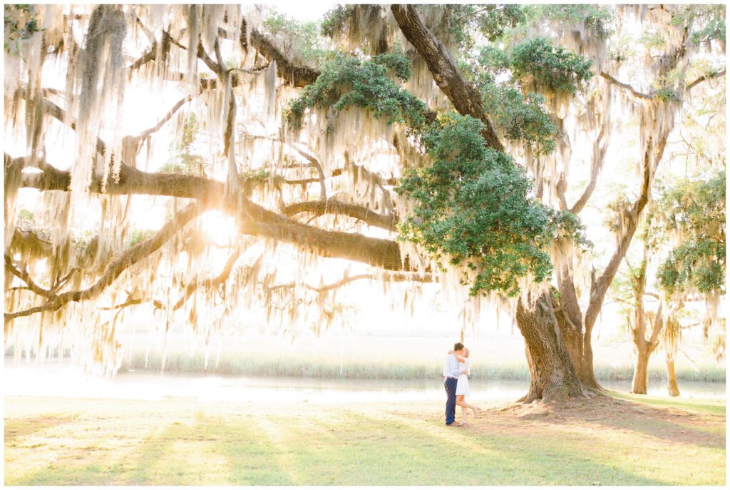 beautiful couple under tree in golden light