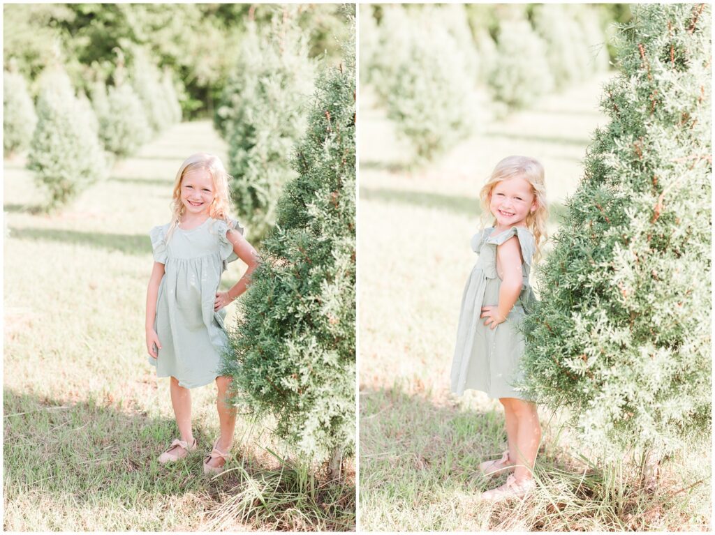 Christmas Tree Farm Holiday Minis in Conway South Carolina 